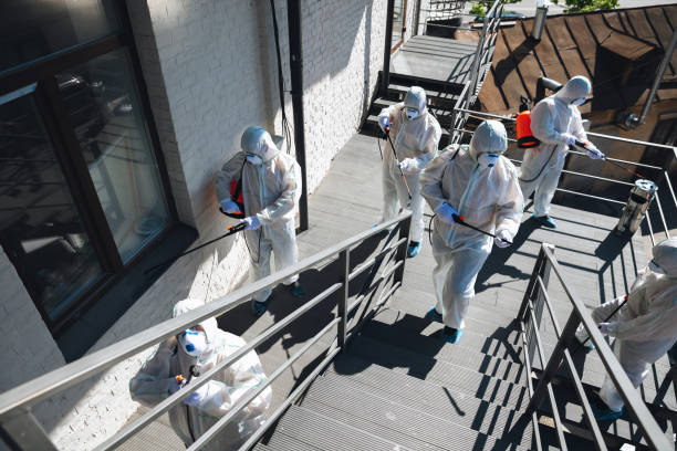 Trusted Greenville, GA Mold Removal Experts
