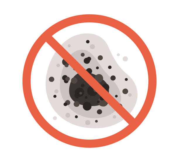 Mold Documentation for Insurance Claims in Greenville, GA