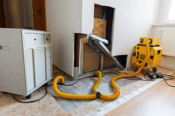 Mold Removal for HVAC Installations in Greenville, GA